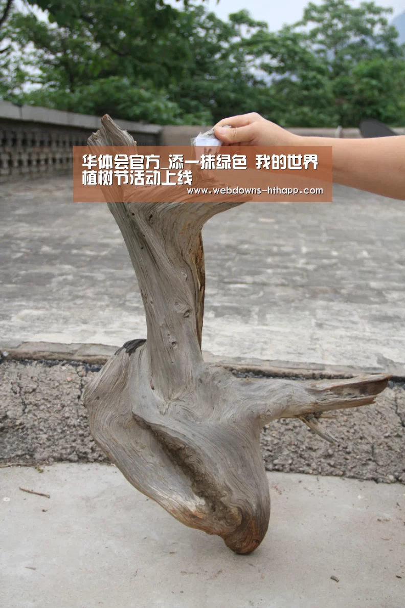 华体会体育